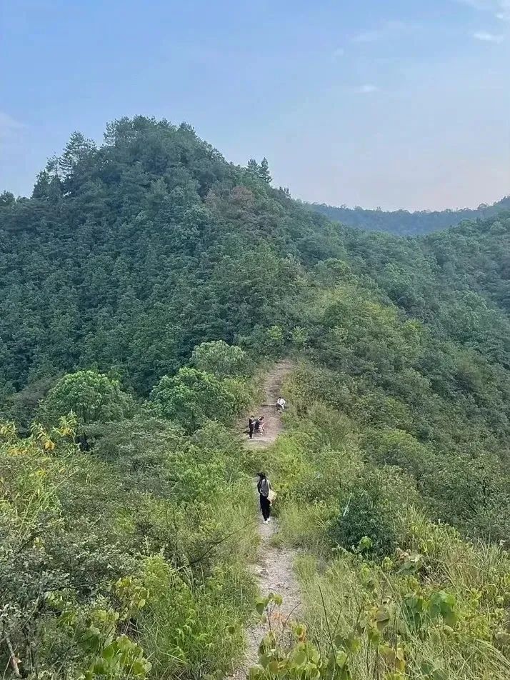 DƬ